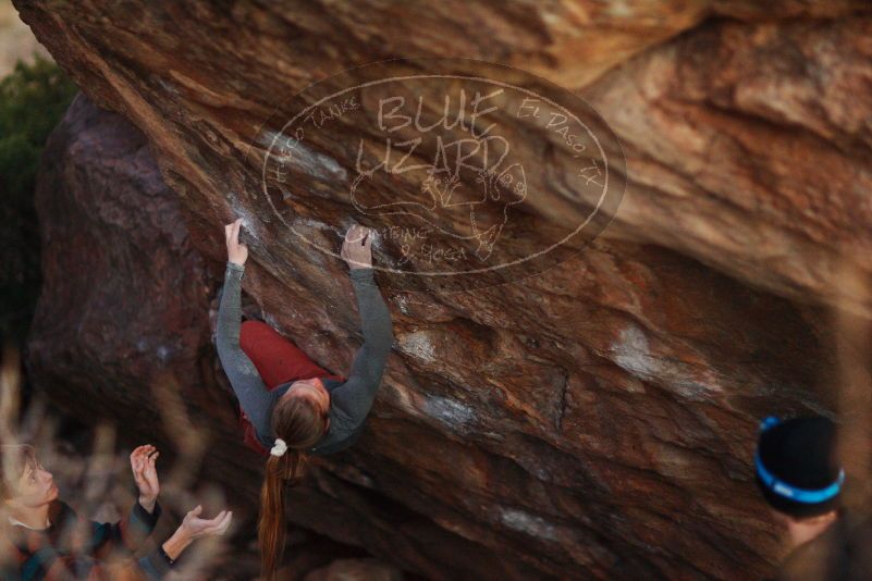 

Filename: SRM_20180105_1829361.jpg
Aperture: f/1.4
Shutter Speed: 1/160
Body: Canon EOS-1D Mark II
Lens: Canon EF 85mm f/1.2 L II