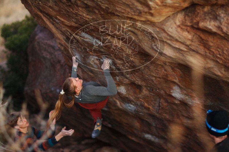 

Filename: SRM_20180105_1829450.jpg
Aperture: f/1.4
Shutter Speed: 1/160
Body: Canon EOS-1D Mark II
Lens: Canon EF 85mm f/1.2 L II