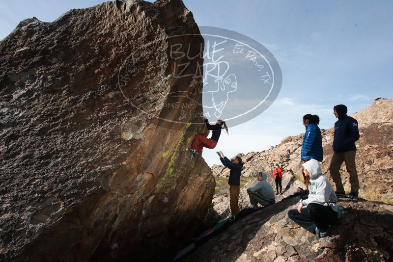 

Filename: SRM_20180102_1137410.jpg
Aperture: f/8.0
Shutter Speed: 1/250
Body: Canon EOS-1D Mark II
Lens: Canon EF 16-35mm f/2.8 L