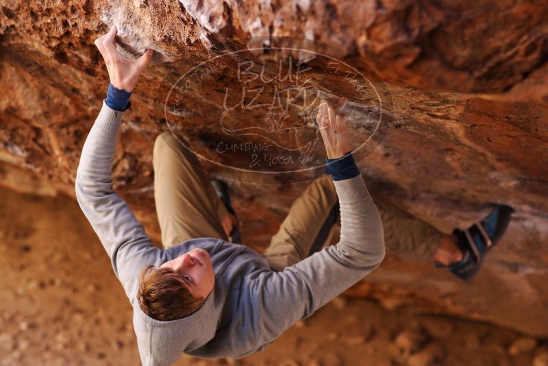 

Filename: SRM_20180102_1222070.jpg
Aperture: f/2.8
Shutter Speed: 1/400
Body: Canon EOS-1D Mark II
Lens: Canon EF 85mm f/1.2 L II