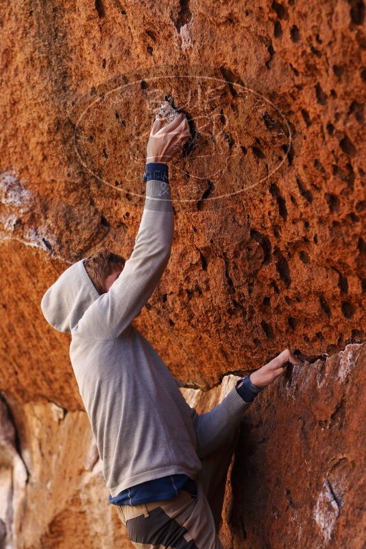 

Filename: SRM_20180102_1222241.jpg
Aperture: f/2.8
Shutter Speed: 1/800
Body: Canon EOS-1D Mark II
Lens: Canon EF 85mm f/1.2 L II