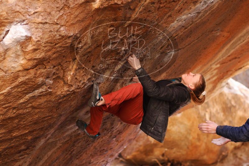 

Filename: SRM_20180102_1244381.jpg
Aperture: f/2.8
Shutter Speed: 1/400
Body: Canon EOS-1D Mark II
Lens: Canon EF 85mm f/1.2 L II