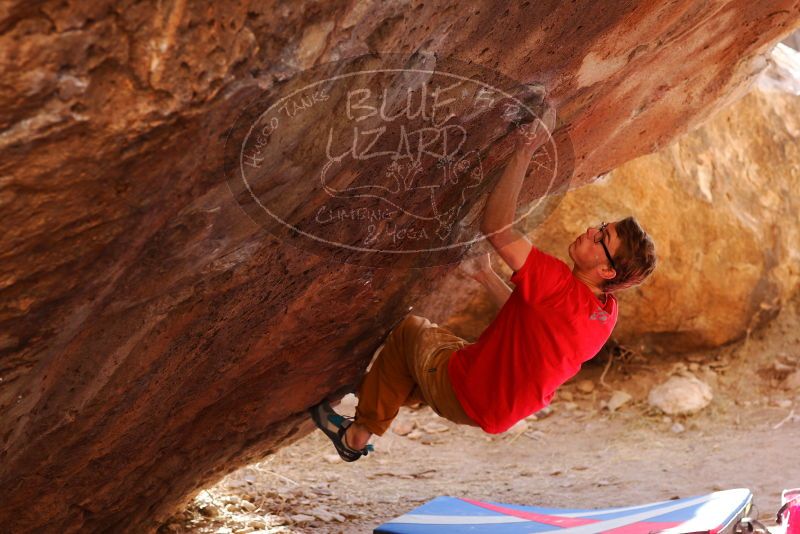 

Filename: SRM_20180102_1257360.jpg
Aperture: f/4.0
Shutter Speed: 1/200
Body: Canon EOS-1D Mark II
Lens: Canon EF 85mm f/1.2 L II