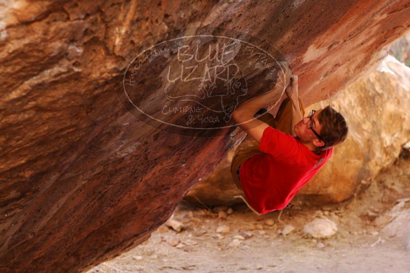 

Filename: SRM_20180102_1257500.jpg
Aperture: f/4.0
Shutter Speed: 1/200
Body: Canon EOS-1D Mark II
Lens: Canon EF 85mm f/1.2 L II