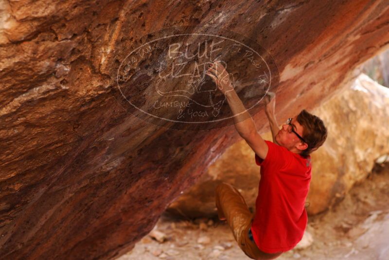 

Filename: SRM_20180102_1257504.jpg
Aperture: f/4.0
Shutter Speed: 1/200
Body: Canon EOS-1D Mark II
Lens: Canon EF 85mm f/1.2 L II