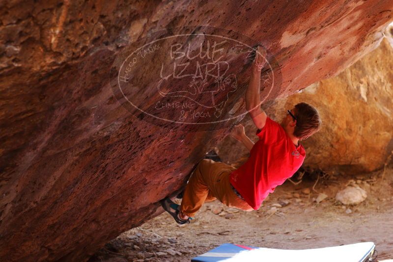 

Filename: SRM_20180102_1319101.jpg
Aperture: f/4.0
Shutter Speed: 1/250
Body: Canon EOS-1D Mark II
Lens: Canon EF 85mm f/1.2 L II