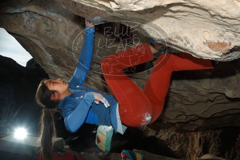 

Filename: SRM_20180102_1627570.jpg
Aperture: f/8.0
Shutter Speed: 1/250
Body: Canon EOS-1D Mark II
Lens: Canon EF 50mm f/1.8 II