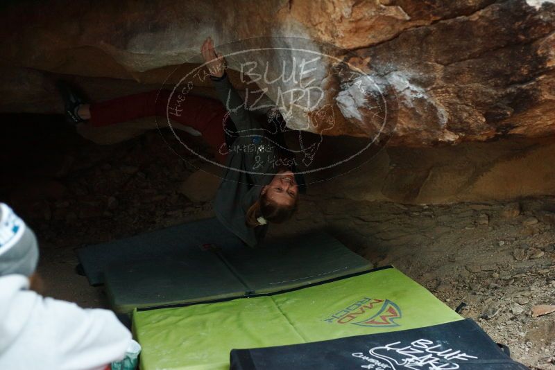 

Filename: SRM_20180102_1723010.jpg
Aperture: f/2.8
Shutter Speed: 1/250
Body: Canon EOS-1D Mark II
Lens: Canon EF 50mm f/1.8 II