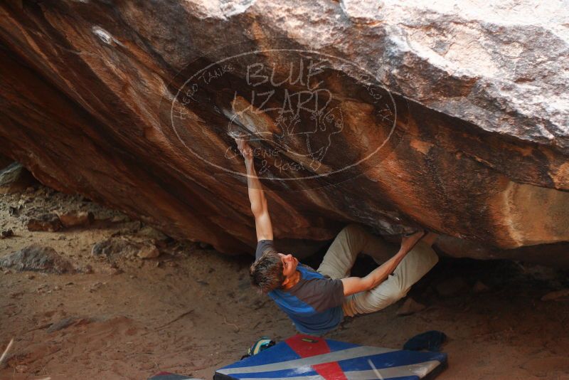 

Filename: SRM_20180102_1743351.jpg
Aperture: f/2.5
Shutter Speed: 1/160
Body: Canon EOS-1D Mark II
Lens: Canon EF 50mm f/1.8 II