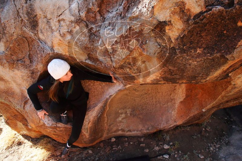 

Filename: SRM_20180101_1035030.jpg
Aperture: f/5.6
Shutter Speed: 1/320
Body: Canon EOS-1D Mark II
Lens: Canon EF 16-35mm f/2.8 L