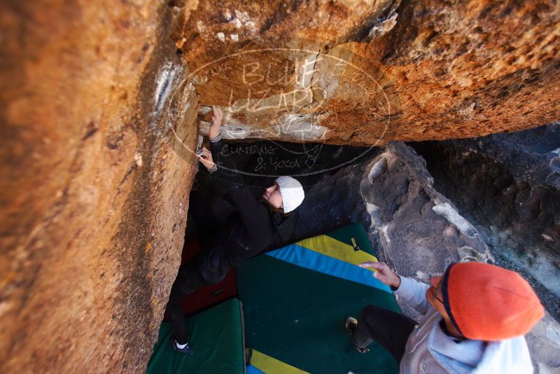 

Filename: SRM_20180101_1118101.jpg
Aperture: f/2.8
Shutter Speed: 1/500
Body: Canon EOS-1D Mark II
Lens: Canon EF 16-35mm f/2.8 L