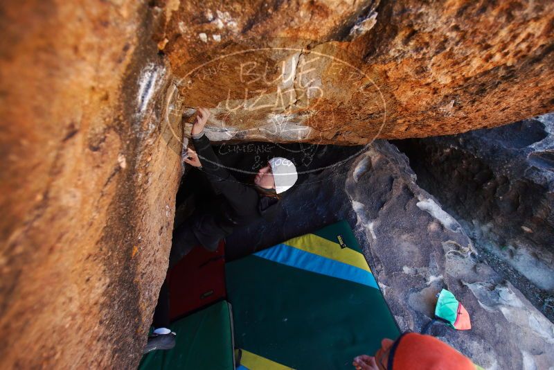 

Filename: SRM_20180101_1118220.jpg
Aperture: f/2.8
Shutter Speed: 1/500
Body: Canon EOS-1D Mark II
Lens: Canon EF 16-35mm f/2.8 L