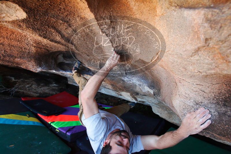 

Filename: SRM_20180101_1243051.jpg
Aperture: f/4.5
Shutter Speed: 1/250
Body: Canon EOS-1D Mark II
Lens: Canon EF 16-35mm f/2.8 L