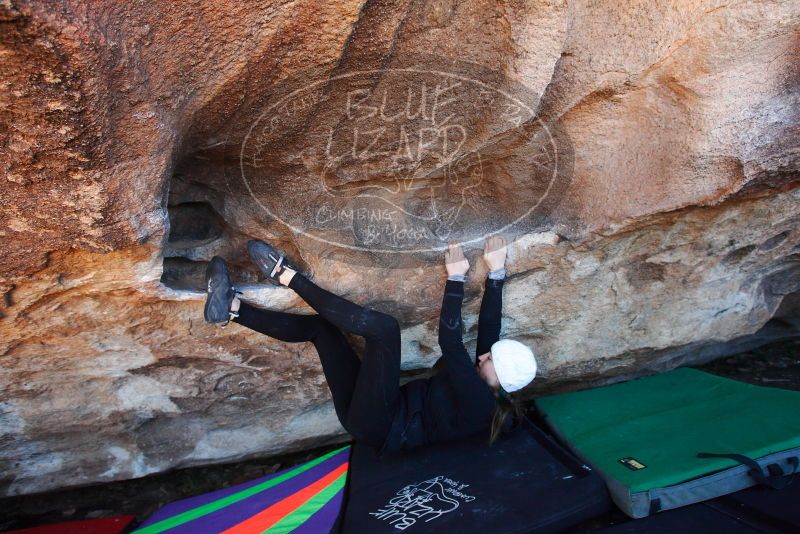 

Filename: SRM_20180101_1249350.jpg
Aperture: f/4.5
Shutter Speed: 1/250
Body: Canon EOS-1D Mark II
Lens: Canon EF 16-35mm f/2.8 L