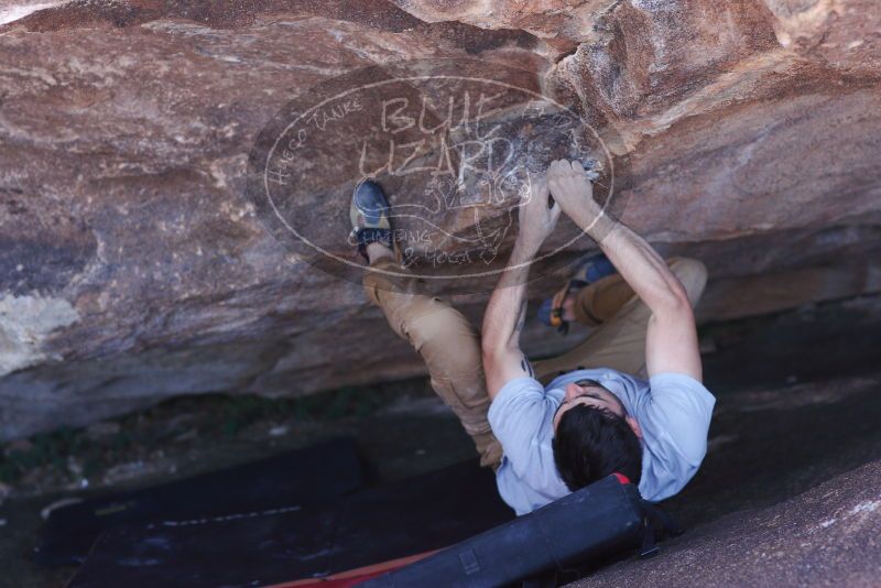 

Filename: SRM_20180101_1317260.jpg
Aperture: f/2.8
Shutter Speed: 1/320
Body: Canon EOS-1D Mark II
Lens: Canon EF 85mm f/1.2 L II