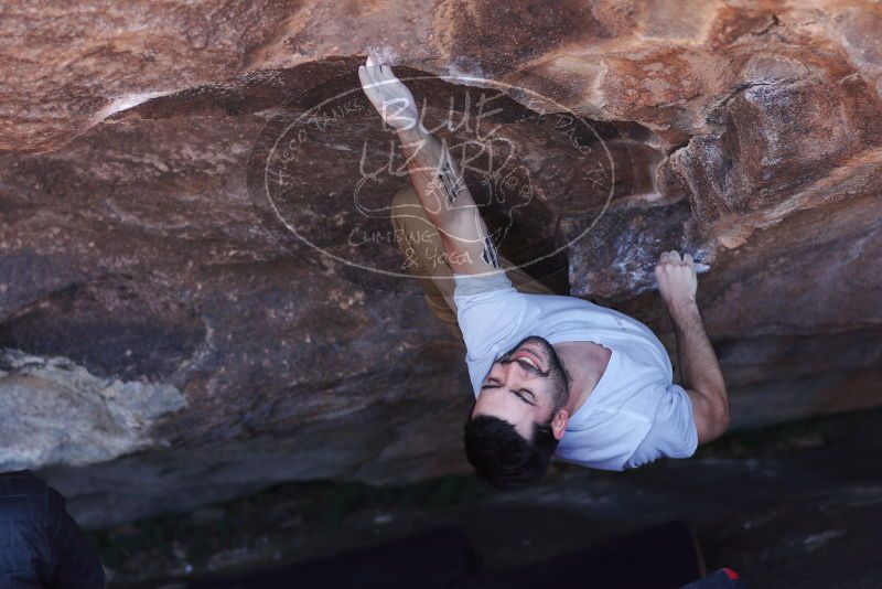 

Filename: SRM_20180101_1317272.jpg
Aperture: f/2.8
Shutter Speed: 1/400
Body: Canon EOS-1D Mark II
Lens: Canon EF 85mm f/1.2 L II