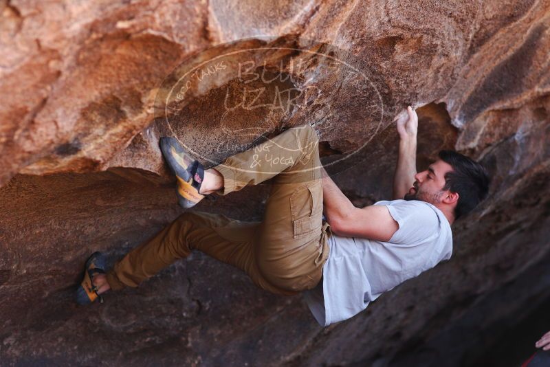 

Filename: SRM_20180101_1317511.jpg
Aperture: f/2.8
Shutter Speed: 1/500
Body: Canon EOS-1D Mark II
Lens: Canon EF 85mm f/1.2 L II