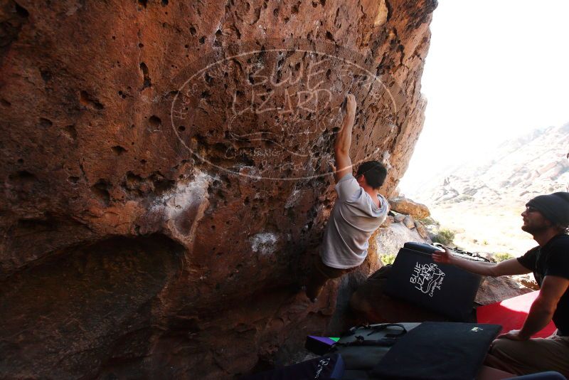 

Filename: SRM_20180101_1415500.jpg
Aperture: f/6.3
Shutter Speed: 1/250
Body: Canon EOS-1D Mark II
Lens: Canon EF 16-35mm f/2.8 L