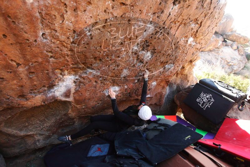 

Filename: SRM_20180101_1418260.jpg
Aperture: f/4.0
Shutter Speed: 1/250
Body: Canon EOS-1D Mark II
Lens: Canon EF 16-35mm f/2.8 L