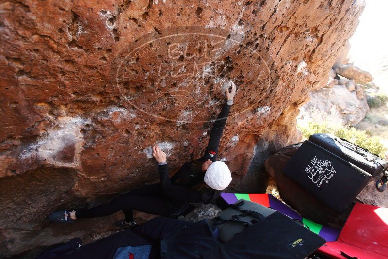 

Filename: SRM_20180101_1418270.jpg
Aperture: f/4.0
Shutter Speed: 1/250
Body: Canon EOS-1D Mark II
Lens: Canon EF 16-35mm f/2.8 L