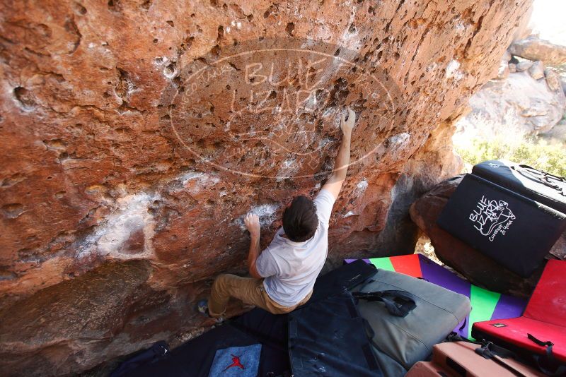 

Filename: SRM_20180101_1419150.jpg
Aperture: f/3.5
Shutter Speed: 1/250
Body: Canon EOS-1D Mark II
Lens: Canon EF 16-35mm f/2.8 L