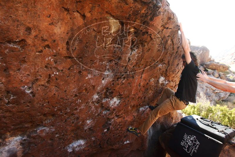 

Filename: SRM_20180101_1430330.jpg
Aperture: f/5.6
Shutter Speed: 1/250
Body: Canon EOS-1D Mark II
Lens: Canon EF 16-35mm f/2.8 L