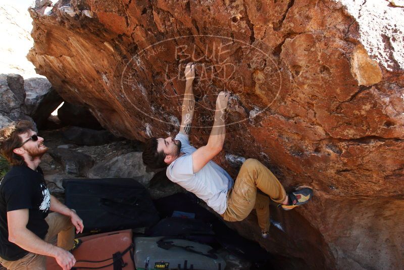 

Filename: SRM_20180101_1431420.jpg
Aperture: f/6.3
Shutter Speed: 1/250
Body: Canon EOS-1D Mark II
Lens: Canon EF 16-35mm f/2.8 L