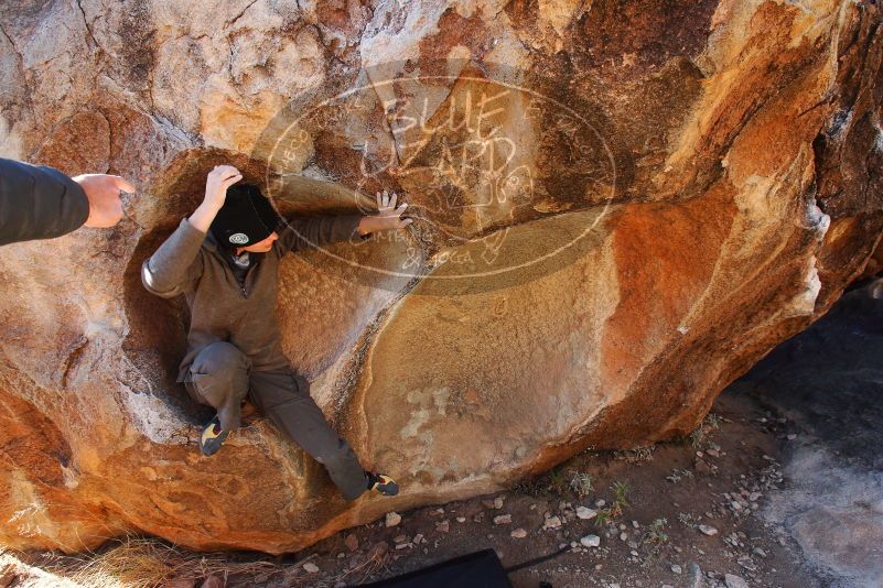 

Filename: SRM_20180101_1048140.jpg
Aperture: f/5.6
Shutter Speed: 1/250
Body: Canon EOS-1D Mark II
Lens: Canon EF 16-35mm f/2.8 L