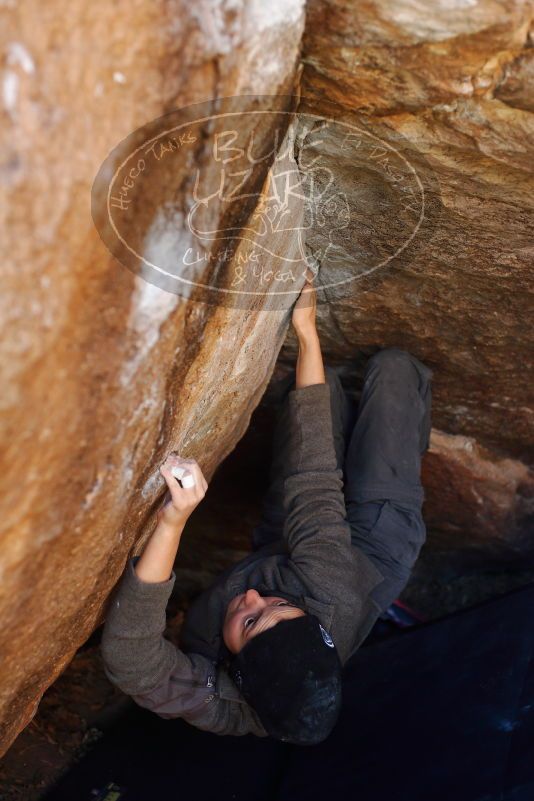 

Filename: SRM_20180101_1133260.jpg
Aperture: f/2.8
Shutter Speed: 1/250
Body: Canon EOS-1D Mark II
Lens: Canon EF 50mm f/1.8 II