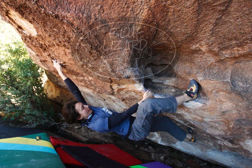 

Filename: SRM_20180101_1224520.jpg
Aperture: f/4.5
Shutter Speed: 1/250
Body: Canon EOS-1D Mark II
Lens: Canon EF 16-35mm f/2.8 L