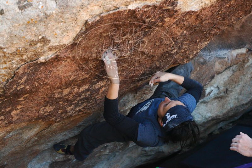 

Filename: SRM_20180101_1228471.jpg
Aperture: f/6.3
Shutter Speed: 1/250
Body: Canon EOS-1D Mark II
Lens: Canon EF 50mm f/1.8 II