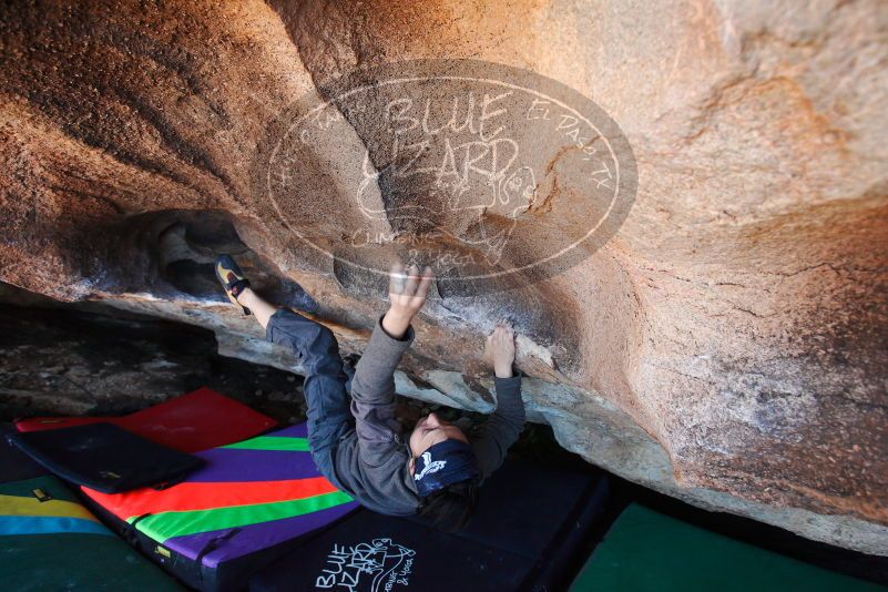 

Filename: SRM_20180101_1241580.jpg
Aperture: f/4.5
Shutter Speed: 1/250
Body: Canon EOS-1D Mark II
Lens: Canon EF 16-35mm f/2.8 L