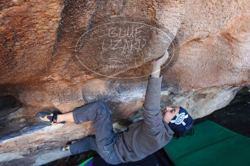 

Filename: SRM_20180101_1252330.jpg
Aperture: f/4.0
Shutter Speed: 1/250
Body: Canon EOS-1D Mark II
Lens: Canon EF 16-35mm f/2.8 L