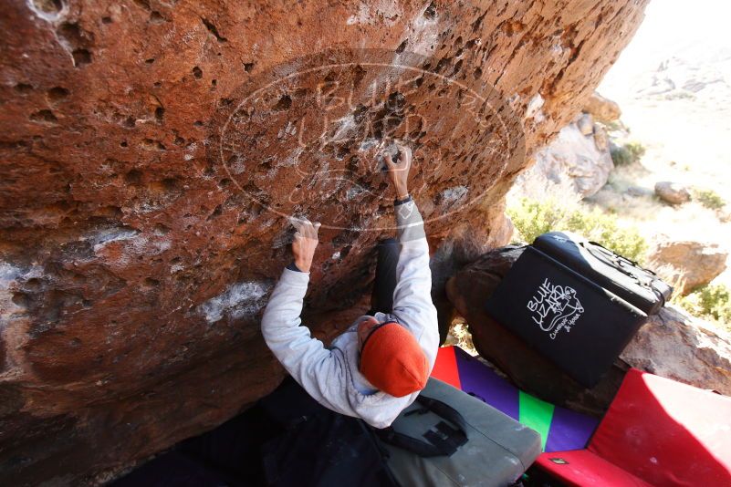 

Filename: SRM_20180101_1424130.jpg
Aperture: f/4.5
Shutter Speed: 1/250
Body: Canon EOS-1D Mark II
Lens: Canon EF 16-35mm f/2.8 L