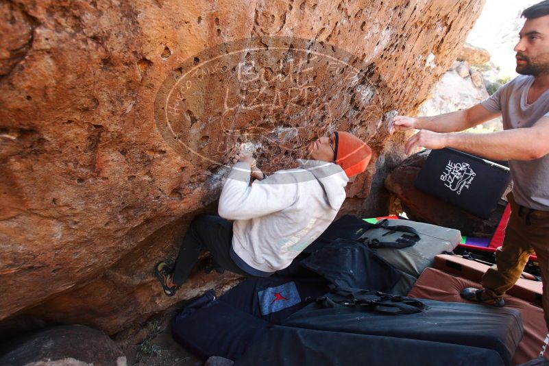 

Filename: SRM_20180101_1428271.jpg
Aperture: f/4.0
Shutter Speed: 1/250
Body: Canon EOS-1D Mark II
Lens: Canon EF 16-35mm f/2.8 L