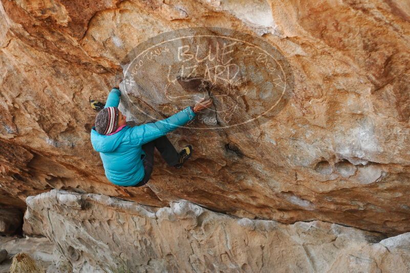 

Filename: SRM_20180103_1102390.jpg
Aperture: f/2.8
Shutter Speed: 1/800
Body: Canon EOS-1D Mark II
Lens: Canon EF 50mm f/1.8 II