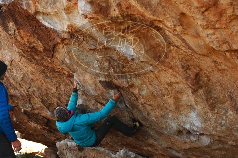 

Filename: SRM_20180103_1108550.jpg
Aperture: f/4.0
Shutter Speed: 1/640
Body: Canon EOS-1D Mark II
Lens: Canon EF 50mm f/1.8 II