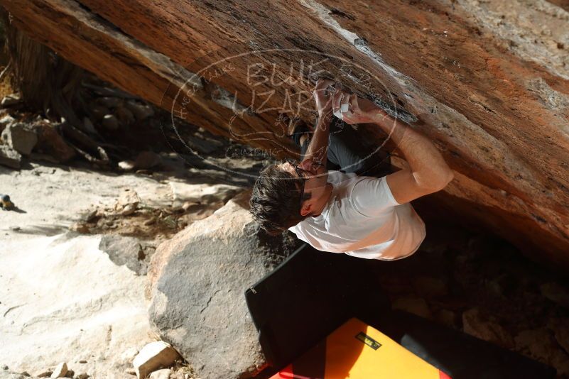 

Filename: SRM_20180103_1312320.jpg
Aperture: f/5.6
Shutter Speed: 1/250
Body: Canon EOS-1D Mark II
Lens: Canon EF 50mm f/1.8 II