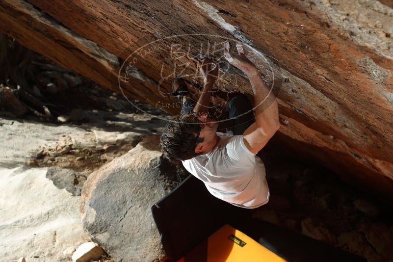 

Filename: SRM_20180103_1314150.jpg
Aperture: f/5.6
Shutter Speed: 1/250
Body: Canon EOS-1D Mark II
Lens: Canon EF 50mm f/1.8 II