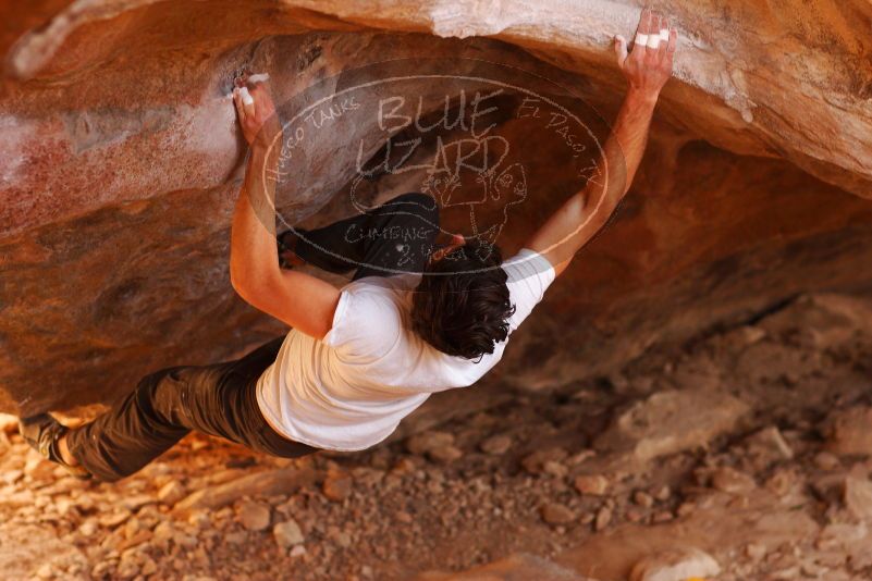 

Filename: SRM_20180103_1423150.jpg
Aperture: f/2.8
Shutter Speed: 1/250
Body: Canon EOS-1D Mark II
Lens: Canon EF 85mm f/1.2 L II