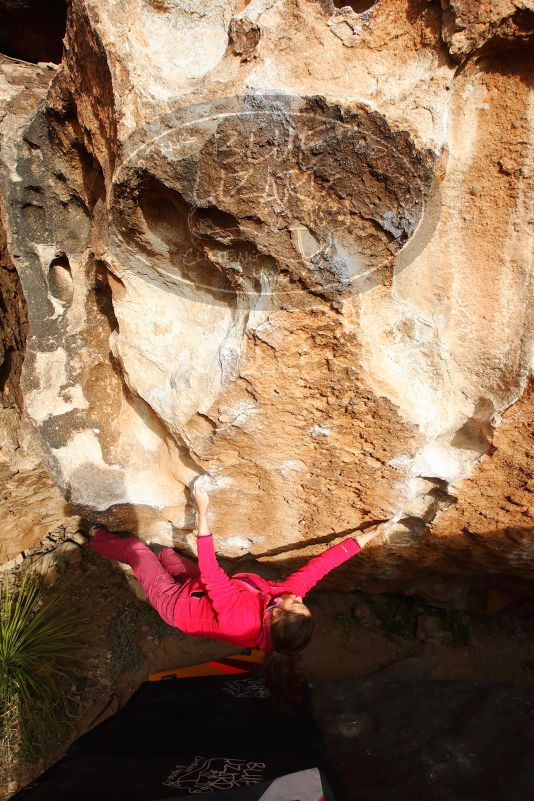 

Filename: SRM_20180103_1626570.jpg
Aperture: f/8.0
Shutter Speed: 1/250
Body: Canon EOS-1D Mark II
Lens: Canon EF 16-35mm f/2.8 L