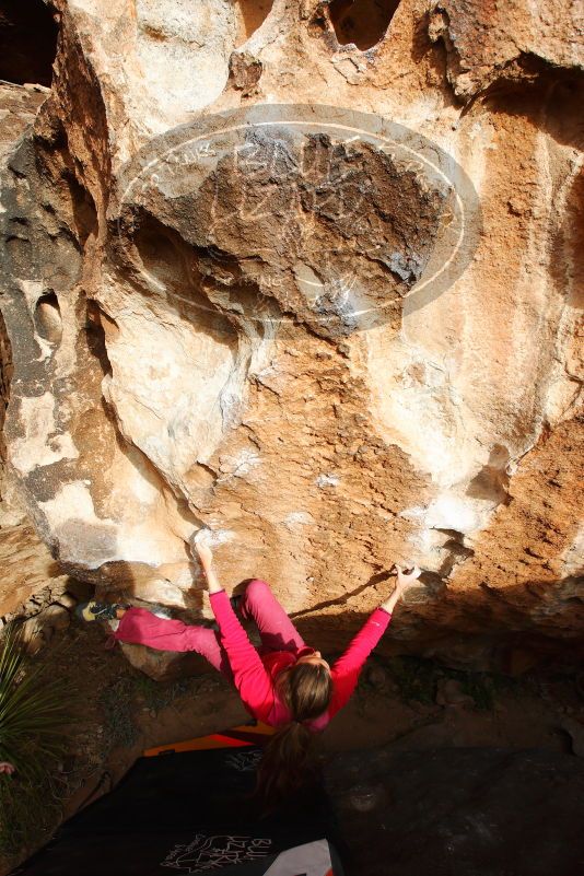 

Filename: SRM_20180103_1627020.jpg
Aperture: f/8.0
Shutter Speed: 1/250
Body: Canon EOS-1D Mark II
Lens: Canon EF 16-35mm f/2.8 L