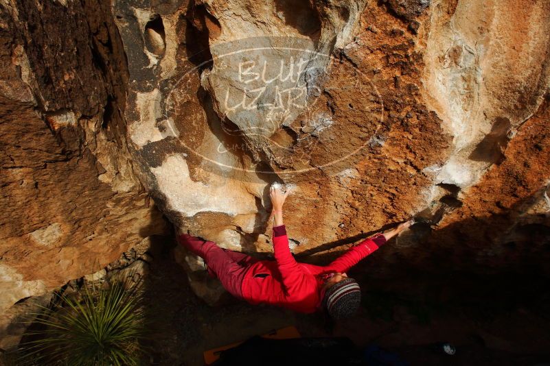 

Filename: SRM_20180103_1639230.jpg
Aperture: f/10.0
Shutter Speed: 1/400
Body: Canon EOS-1D Mark II
Lens: Canon EF 16-35mm f/2.8 L