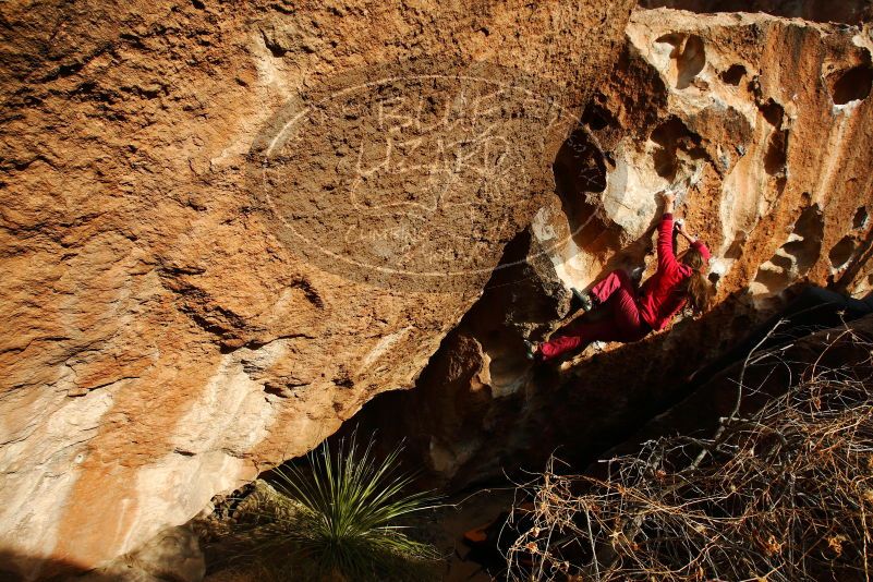 

Filename: SRM_20180103_1653300.jpg
Aperture: f/8.0
Shutter Speed: 1/400
Body: Canon EOS-1D Mark II
Lens: Canon EF 16-35mm f/2.8 L