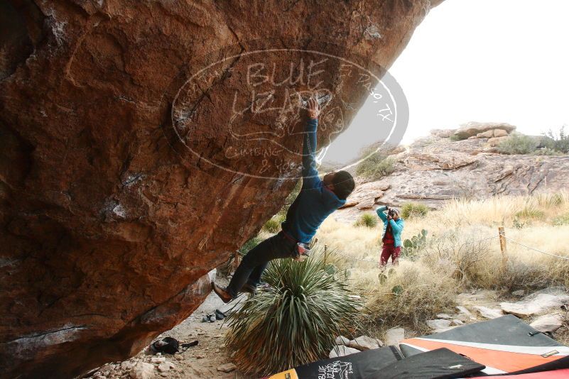 

Filename: SRM_20180103_1732280.jpg
Aperture: f/6.3
Shutter Speed: 1/250
Body: Canon EOS-1D Mark II
Lens: Canon EF 16-35mm f/2.8 L