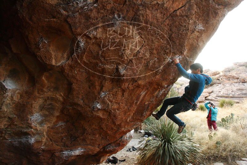 

Filename: SRM_20180103_1733280.jpg
Aperture: f/5.6
Shutter Speed: 1/250
Body: Canon EOS-1D Mark II
Lens: Canon EF 16-35mm f/2.8 L