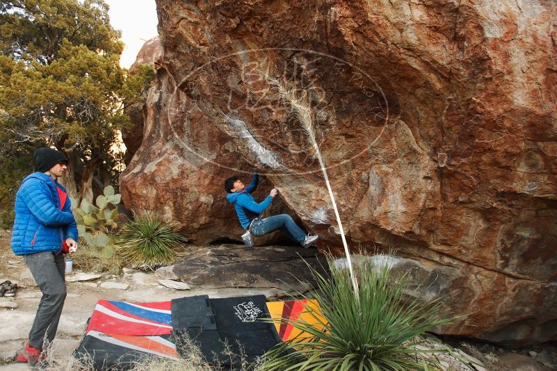 

Filename: SRM_20180103_1738400.jpg
Aperture: f/4.5
Shutter Speed: 1/250
Body: Canon EOS-1D Mark II
Lens: Canon EF 16-35mm f/2.8 L