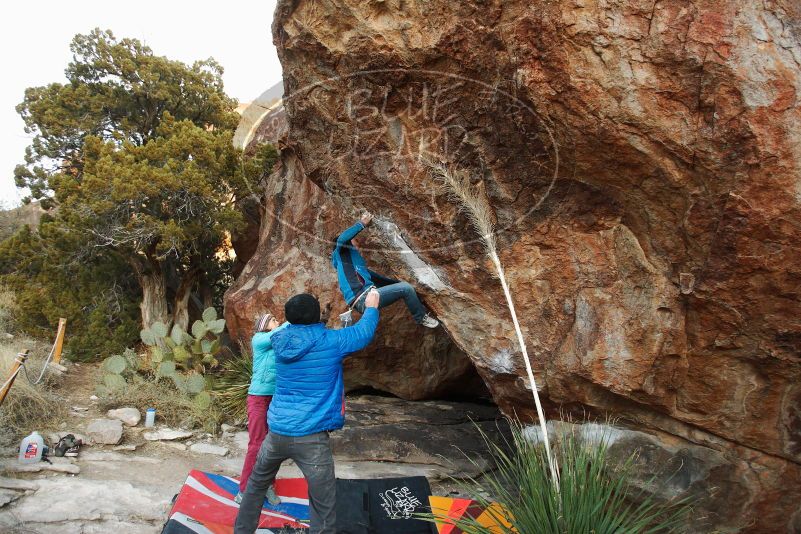 

Filename: SRM_20180103_1749190.jpg
Aperture: f/3.5
Shutter Speed: 1/250
Body: Canon EOS-1D Mark II
Lens: Canon EF 16-35mm f/2.8 L