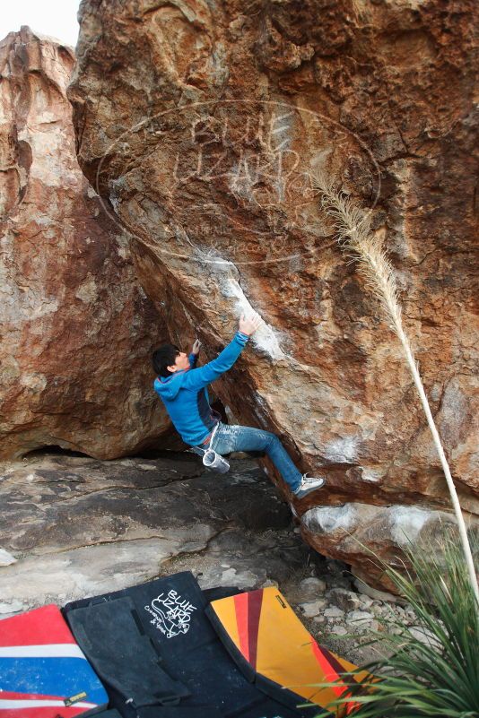 

Filename: SRM_20180103_1751190.jpg
Aperture: f/3.2
Shutter Speed: 1/250
Body: Canon EOS-1D Mark II
Lens: Canon EF 16-35mm f/2.8 L