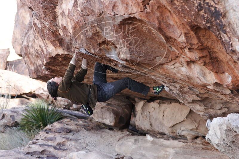 

Filename: SRM_20180107_1051210.jpg
Aperture: f/4.5
Shutter Speed: 1/400
Body: Canon EOS-1D Mark II
Lens: Canon EF 85mm f/1.2 L II